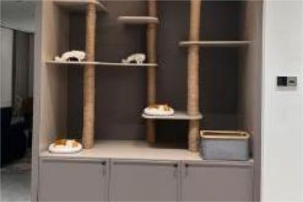 Bakit ang materyal ng PET ay ang pinakamahusay para sa Pet space Cabinet?